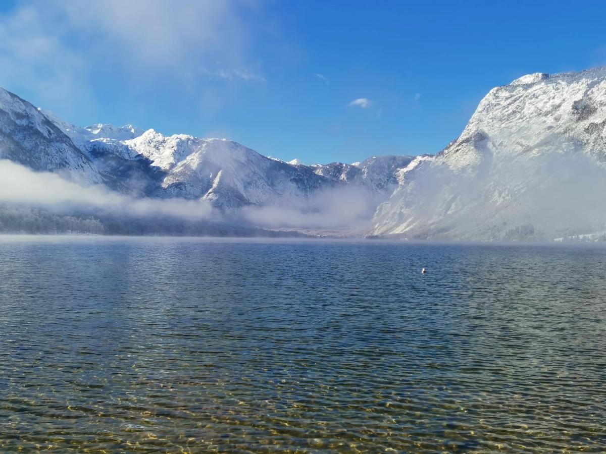 Cottage Suha Bohinj ภายนอก รูปภาพ